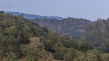 Finca del dueño de Kansas City Chiefs.