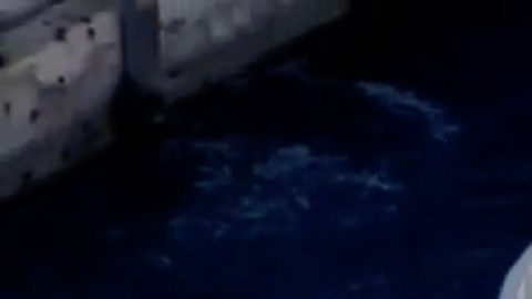 El ferry hace el trayecto entre la isla privada de Fisher Island y la ciudad de Miami.