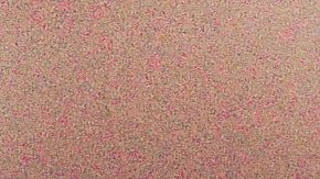 Quien se comiera 3 pasteles, ganaría el concurso.