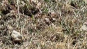 Fotos El aterrador narcocementerio en donde huachioleros y narcos se matan sin piedad