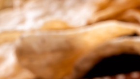 Frijoles-Fudio-Canva