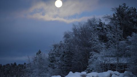 Luna llena