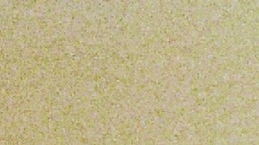 Algunos trucos evitan que tu gato se aburra.