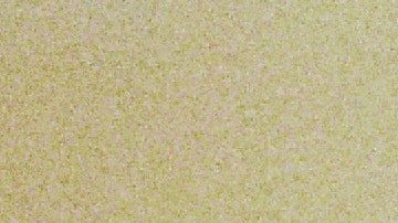 Algunos trucos evitan que tu gato se aburra.