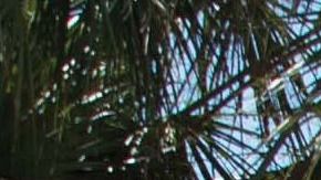 Imagen de archivo de un equipo de emergencia de la ciudad de Sunrise, en Florida