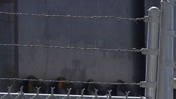 El presidente Trump endureció sus políticas migratorias.