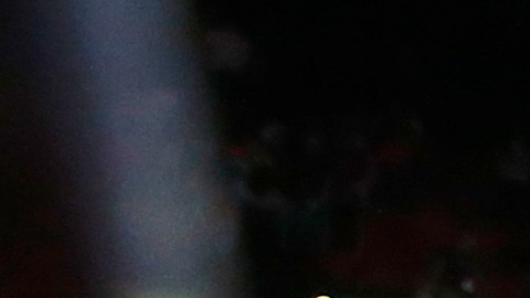 Dwayne Wade posa junto a su esposa Gabrielle Union, su sobrino Dahveon Morris y sus hijos Kaavia James Union Wade, Zaire Wade, Xavier Wade y Zion Wade en el último partido de su carrera en el American Airlines Arena, el 9 de abril de 2019.