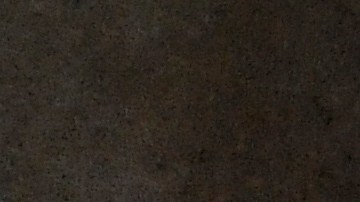 Los Fontana suelen cuidar a los gatitos con varias necesidades médicas.