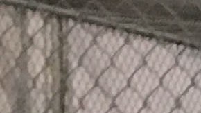 Inmigrantes detenidos