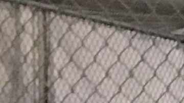 Inmigrantes detenidos