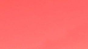 Stormi triunfa por encima de la propia Kylie Jenner.