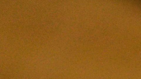 Las víctimas de trata o sus familiares pueden enviar mensajes de texto o WhatsApp.