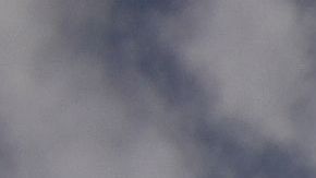 Los responsables del parque informaron de su decisión a los funcionarios locales y estatales de Orlando.