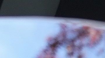 Roger Stone, exasesor de Trump.