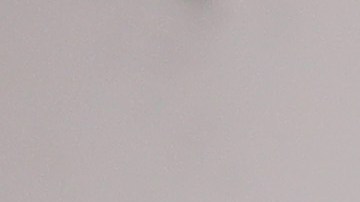 Sylvester Stallone monumento a Kobe Bryant