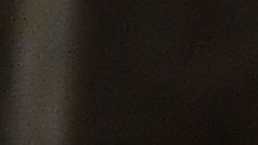 Trump Estado de la Unión