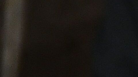 Trump Estado de la Unión