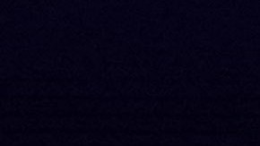 Candidatos demócratas participan en el 8vo. debate en New Hampshire.