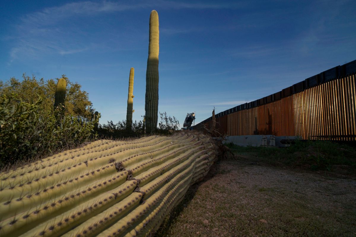 Un cactus muerto cerca del muro fronterizo México-Estados Unidos en el Monumento Nacional Organ Pipe, al sur de Ajo, Arizona.