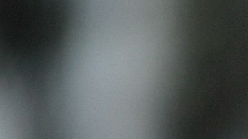 Javier 'Chicharito' Hernández