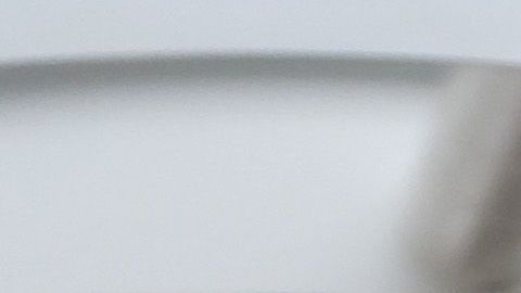 Siete aeropuertos en EEUU siguen estrictas medidas sanitarias por el coronavirus.