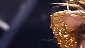 Shakira y JLo durante el final de su actuación en el medio tiempo del Super Bowl LIV.