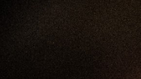 Joe Biden ganó las elecciones en Carolina del Sur.