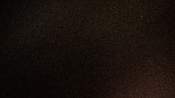 Joe Biden ganó las elecciones en Carolina del Sur.