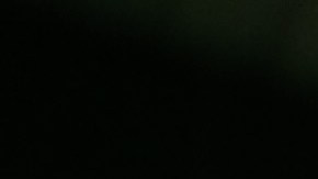 Bernie Sanders celebra con sus seguidores en Manchester, New Hampshire.