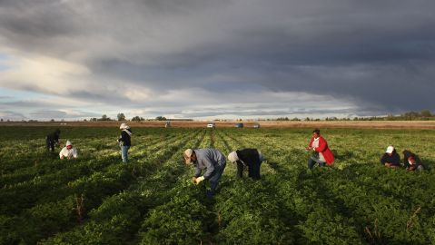 La norma afectaría a granjeros.