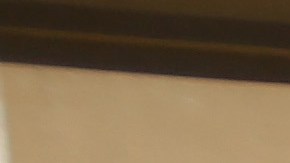 Walmart Walmart+ Amazon Prime