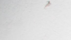 El barrio de Wynwood se ha convertido en un centro artístico, cultural y de entretenimiento en Miami.