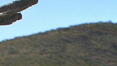 migrante desierto