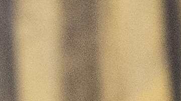 El presidente Trump defendió a su exasesor Roger Stone.