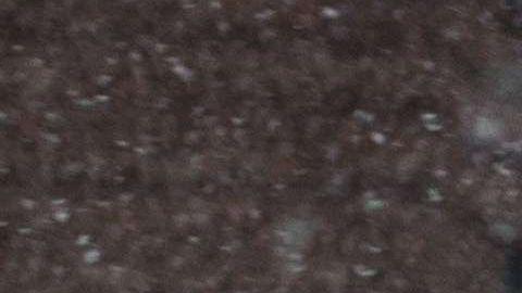 La nieve podría llegar a Nueva York en marzo.