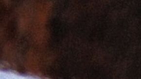 matrimonio inmigrantes