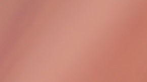 El banco canceló la tarjeta al ver que se estaban realizando cargos en un hotel de Ohio.