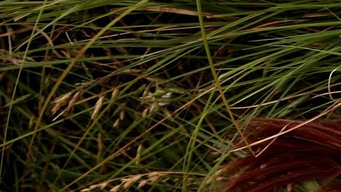 Los astros te dicen cómo eres con tus amigos. Foto: Adina Voicu/Pixabay