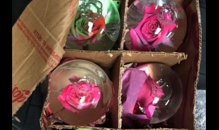 Los globos de vidrio.
