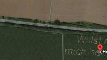 Una tía le dijo que había visto su propuesta en Google Maps.