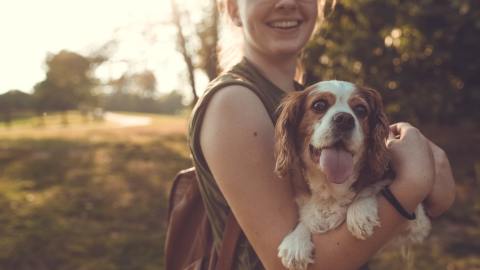 Guarderías para mascotas / Créditos: Fotógrafo Sam Manns vía Unsplash