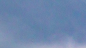 Esta ciudad asiática lidera las listas de rentas más caras del mundo.