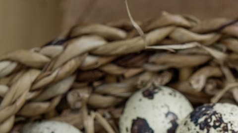 huevos codorniz-pxhere