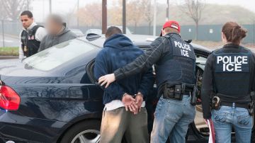 ICE arrestos