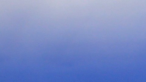 Fuentes estuvo casada con Jorge Vergara.