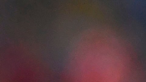 Usain Bolt