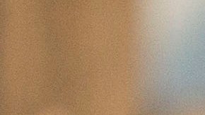 Pulido y Pizarro vivieron momentos inolvidables en Chivas.