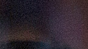 Almeyda y Pizarro se convirtieron en referentes de Chivas.