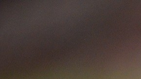 Nico Benedetti estará fuera de las canchas por medio año.