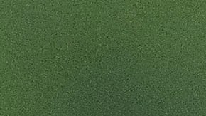 Imago-828927